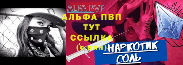 Альфа ПВП Инсар