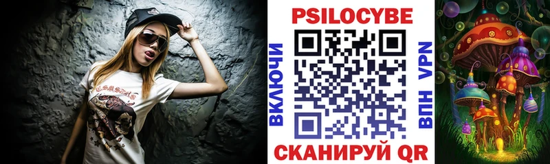 Купить Кашира Псилоцибиновые грибы Psilocybe